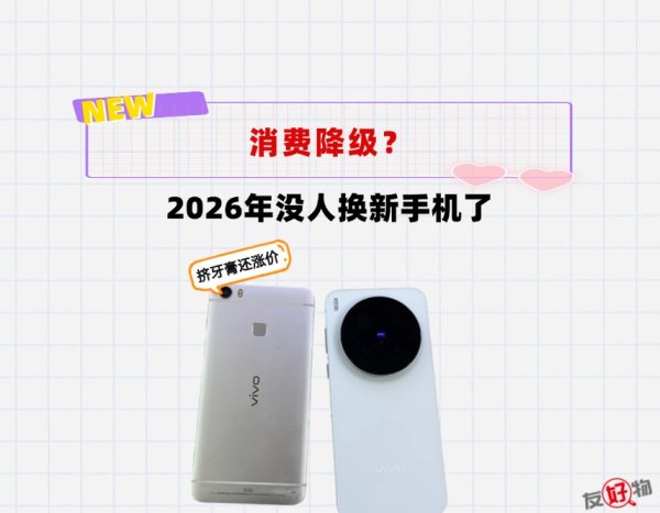 开云体育(中国)官方网站 2026年, 为什么越来越多东说念