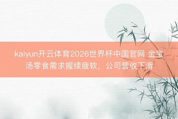 kaiyun开云体育2026世界杯中国官网 金宝汤零食需求握续疲软，公司营收下滑
